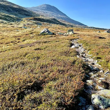 Gausta View Boutique Gaustablikk